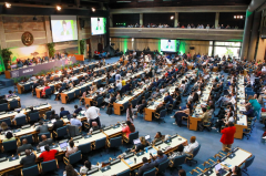 The Sixth United Nations Environment Assembly Concludes with Active Participation from the All-China Environment Federation