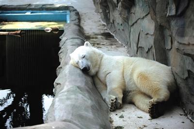北京持续高温天气进入尾声 今夜将迎阵雨