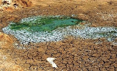 昨日中午,白沙镇,路边因久旱而干枯的鱼塘。