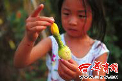 旱灾来袭水库露底(图)