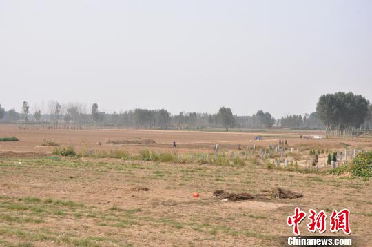 耕地中的墓地 陈征帆 摄