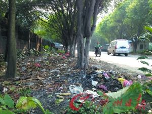 白云大源村日产垃圾100多吨 垃圾遍地