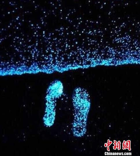 珠海现蓝色荧光海滩 当地居民齐聚围观(图)